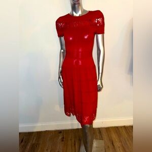 Dress Barn Red Dress with Lace Design